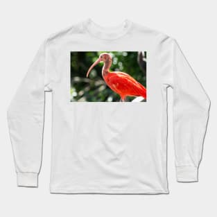 10117 ibis Long Sleeve T-Shirt